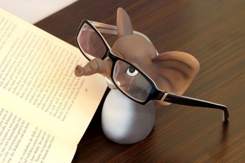 本を読むゾウ
