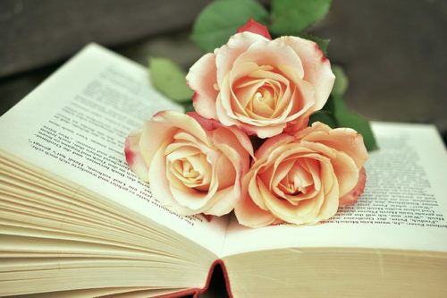 本の上のピンクのバラ三本の写真