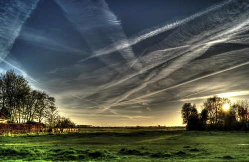 草原と飛行機雲