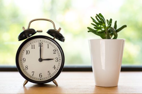 目覚まし時計と小さな植物の画像